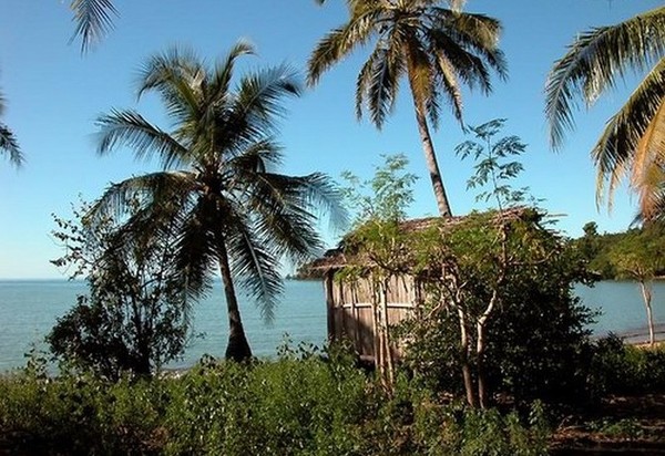 Baie Rose de la Réunion