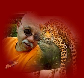 tigre.jpg